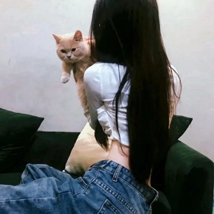 好莱坞高中